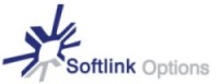 Domain Sales Softlink Options